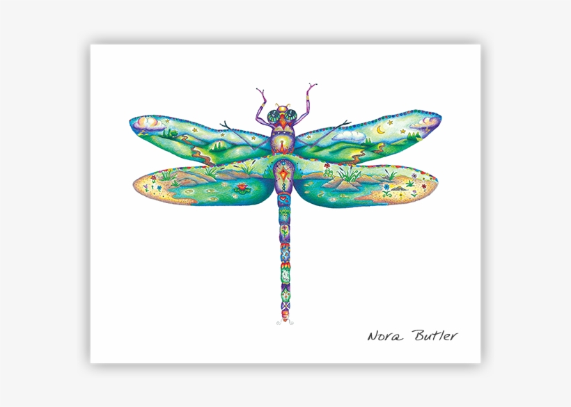 Damselfly Ii By Nora Butler - Damselflies, transparent png