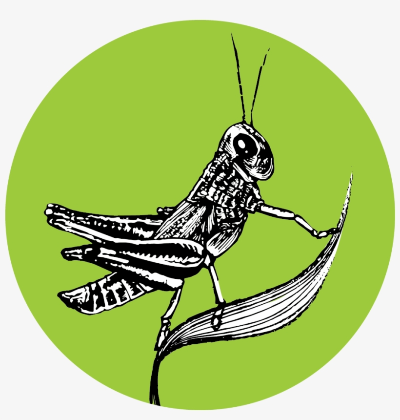 Image Is Not Available - Mail Icon, transparent png