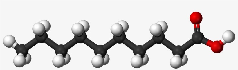 File - Decanoic Ac - Fatty Acid Molecule, transparent png