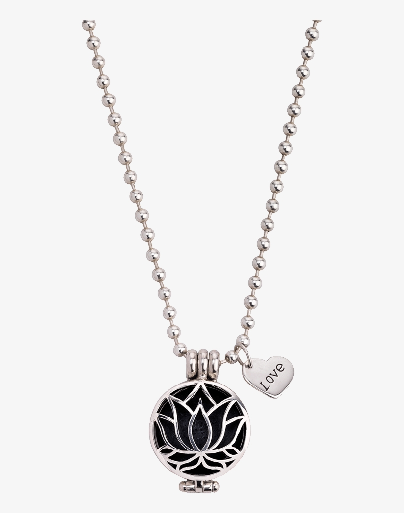 Set Aroma Dream Lotusflower And Ball Chain Silver Necklace - No Name Cupcake Muffin Retro Amulette Rockabilly Halskette, transparent png