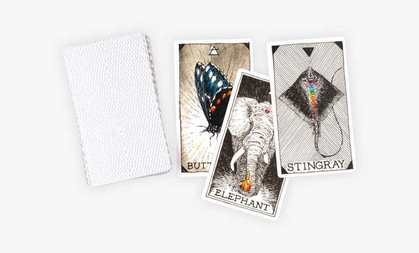 Animal Spirit Deck And Guidebook Boxed Set By The Wild - Collectible Card Game, transparent png