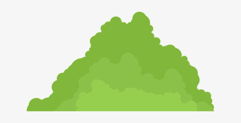 Shrub, transparent png