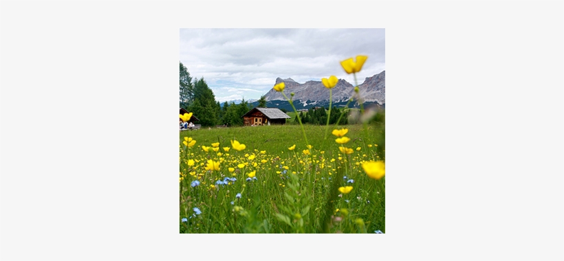 Small Thumb Sq V18 - Thumb, transparent png