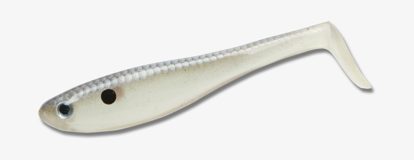 Shad-800px - Zoom Swim Bait, transparent png