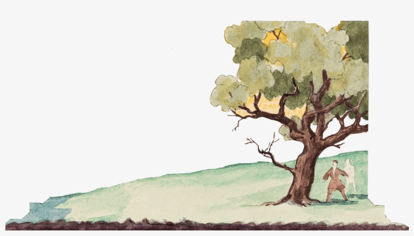 Sandro Akhmeteli Sandro Akhmeteli - Plane-tree Family, transparent png