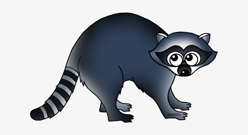 Picture Free Download United States Clip Art By Phillip - Clipart Of Raccoon, transparent png