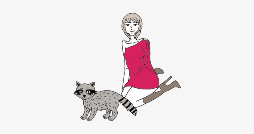 Racoon - Illustration, transparent png