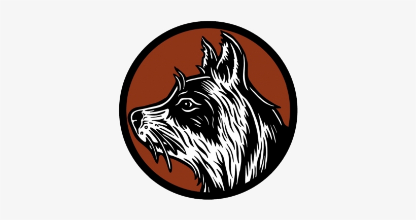 Racoons, transparent png