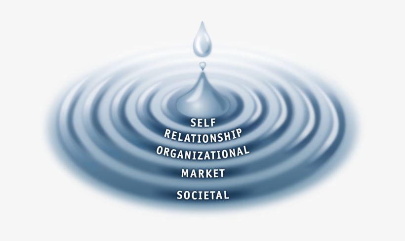 5 Waves Of Trust - Stephen Covey Waves Of Trust, transparent png