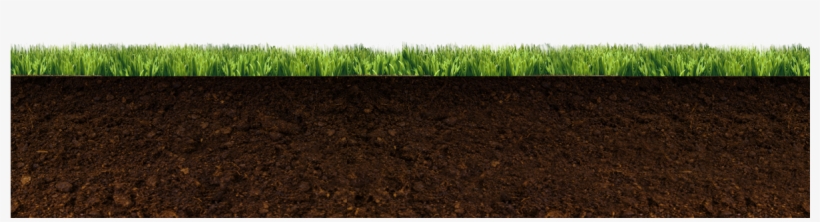 Cesped Y Tierra - Cesped Con Tierra Png, transparent png
