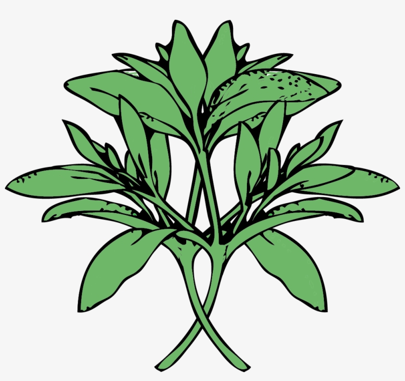 Like This -, transparent png