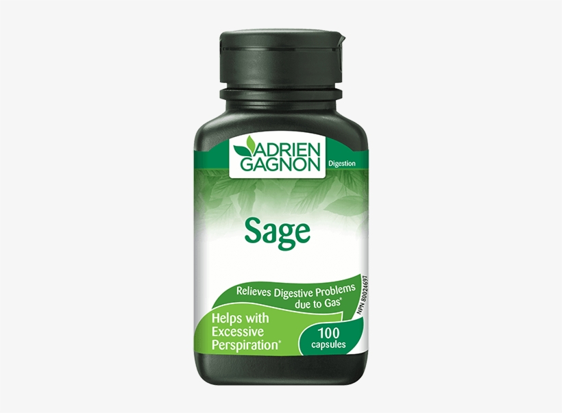 Adrien Gagnon Digest 365, transparent png