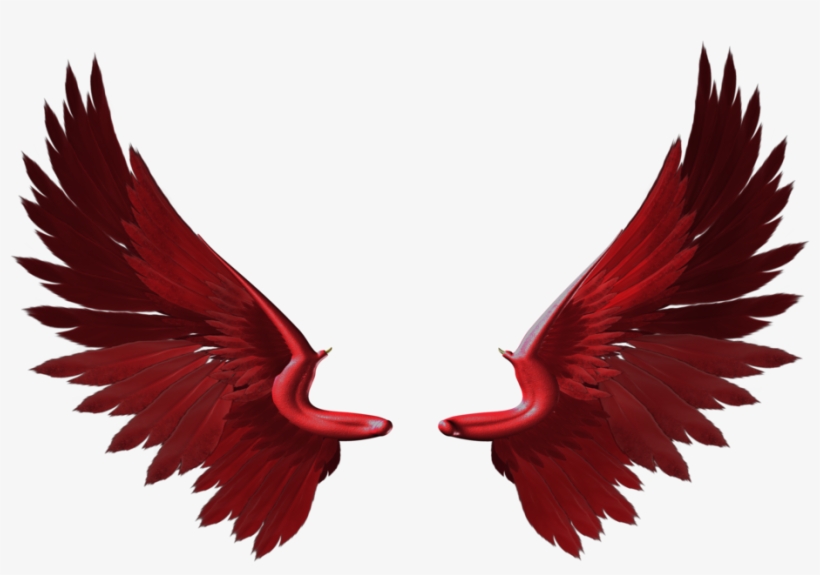Share This Image - Pretty Wings, transparent png