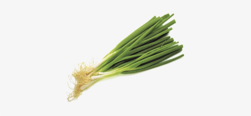 Spring Onion Daun Bawang - Spring Onions Clipart Png, transparent png