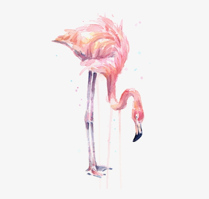 Vector Free Stock Illustration Watercolor Facing Left - Flamingo Painting Watercolor, transparent png
