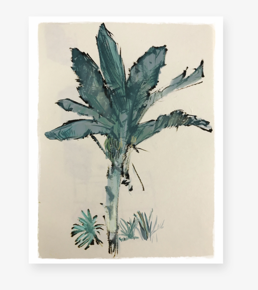Banana Tree, transparent png