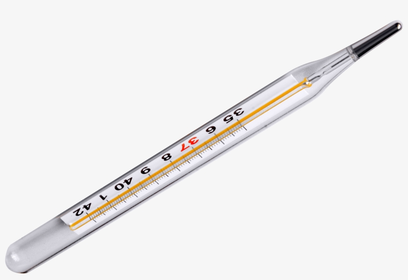 Thermometer Png Transparent Image - Thermometer Png, transparent png