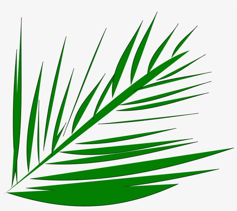 Big Image - Palm Leaves Transparent Clipart, transparent png