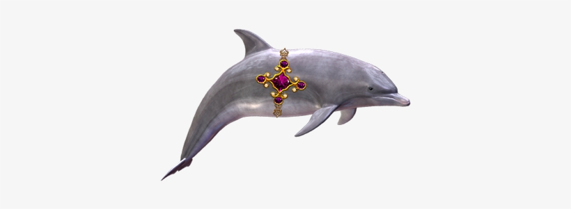 Where's The Dolphin Sticker Pack For Imessage Messages - Message, transparent png