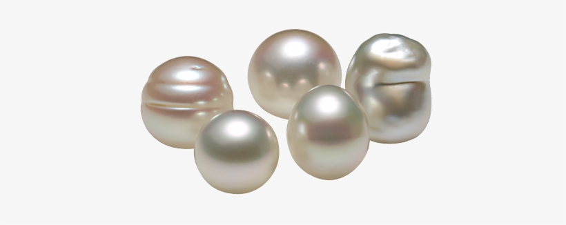 South Sea - Pearl, transparent png
