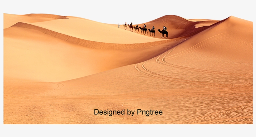 The Camel In The Desert, Camel, Desert, Free Matting - Camel, transparent png