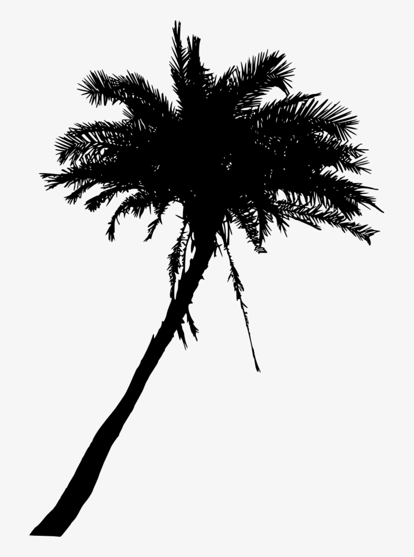 Png File Size - 2 Palm Trees Silhouette, transparent png