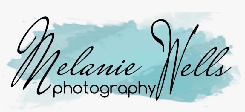 Colonial School District, transparent png