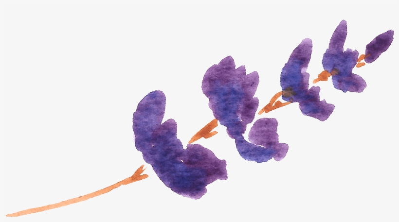 Lvc - Lavender, transparent png
