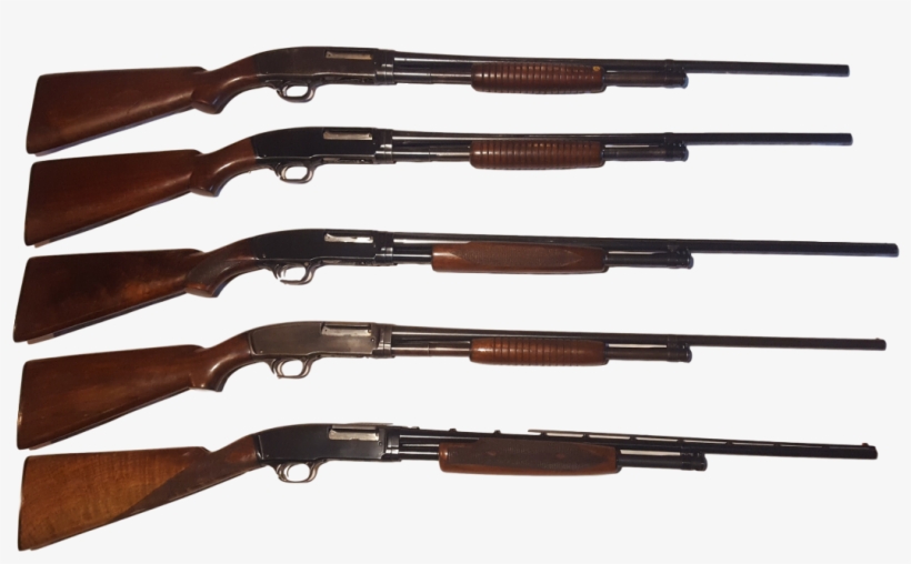 Winchester Shot Guns - Rifle, transparent png