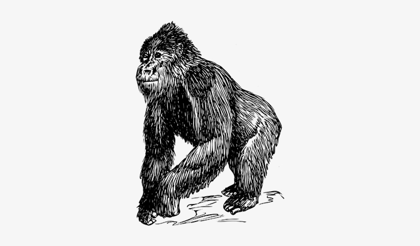 Gorilla Svg Clip Arts 432 X 597 Px, transparent png