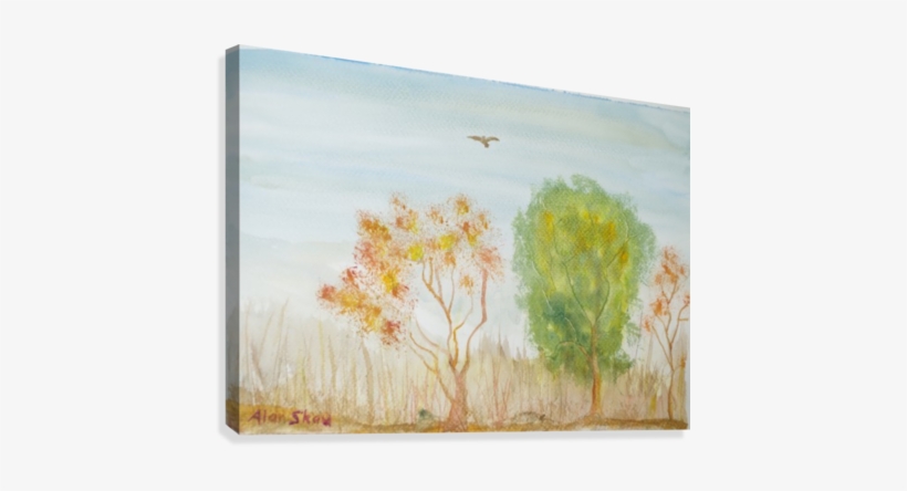 Bird Over Scrubland - Shrubland, transparent png