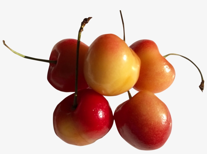 Rainier Cherry, transparent png