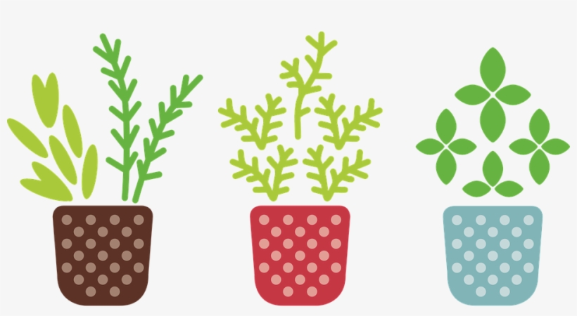 Free Image On Pixabay - Herb Png, transparent png