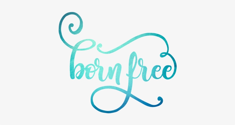 Powered By Imperfection - Art, transparent png
