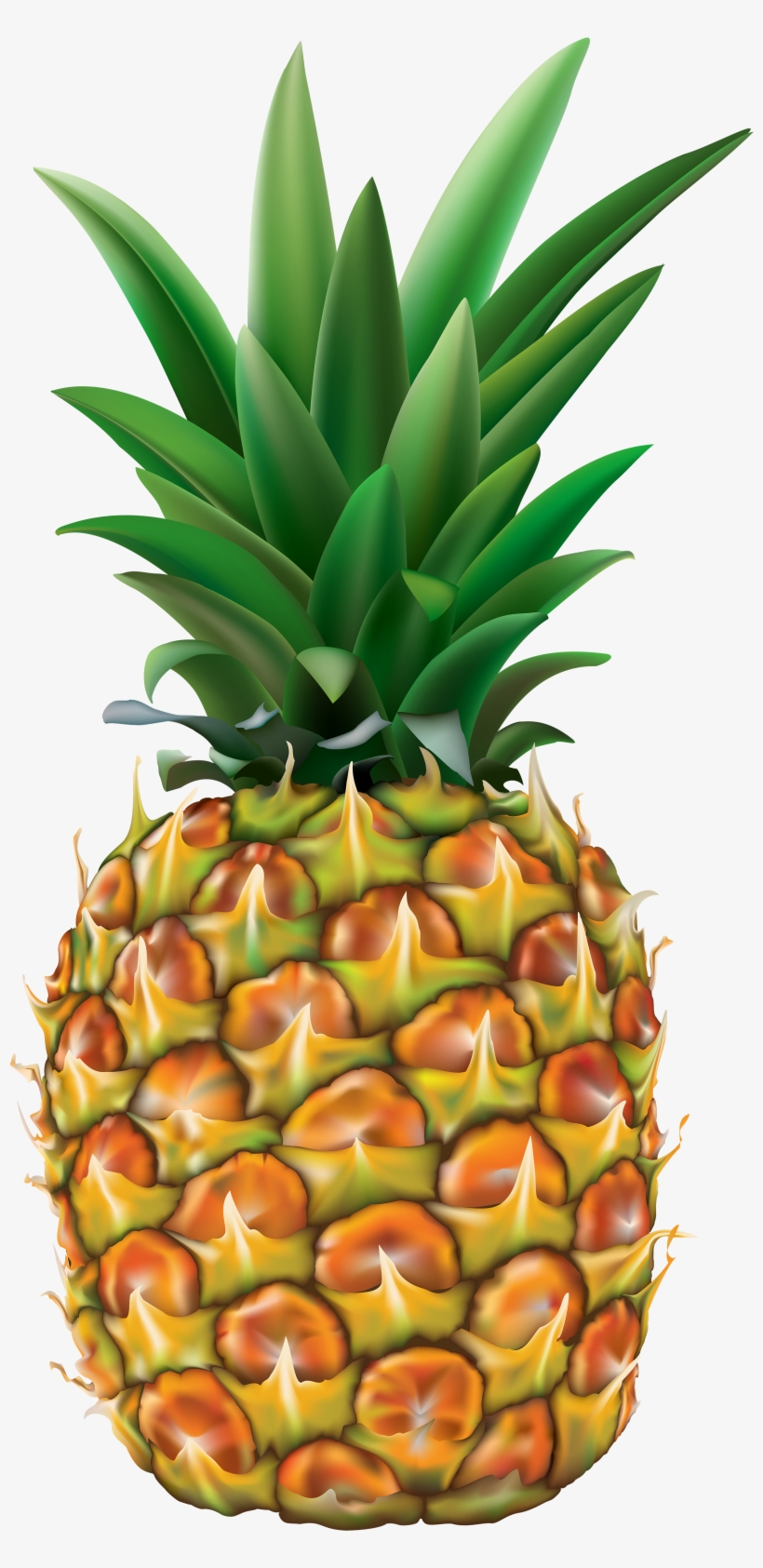 Png Clip Art Image Gallery Yopriceville View - Fruit Tropical, transparent png