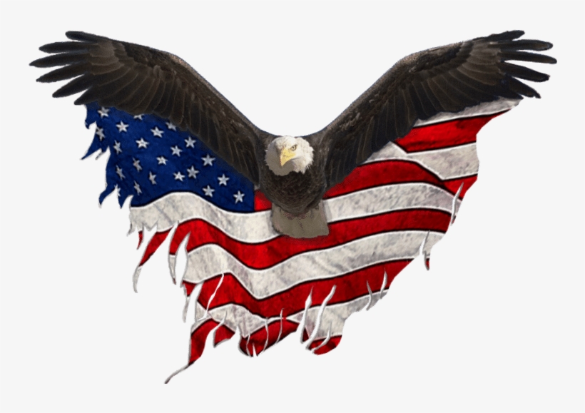 Usa Eagle Png Clip Library Download - Eagle United States Png, transparent png