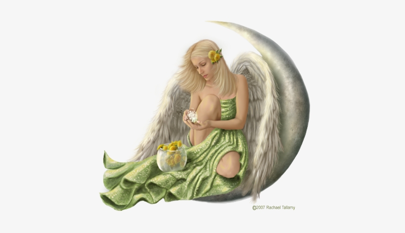 Angel Png For Free Download On - Png Transparent Angels, transparent png