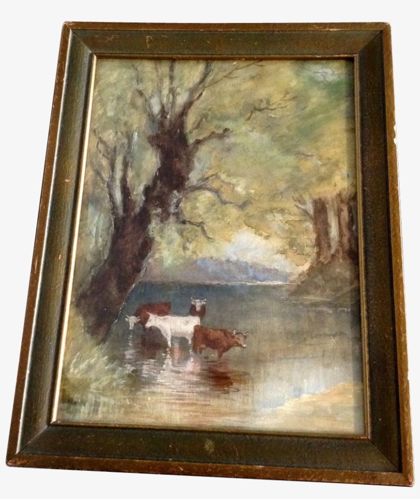 Cows Cooling Off In The River Under A Tree, Early 1900's - Picture Frame, transparent png