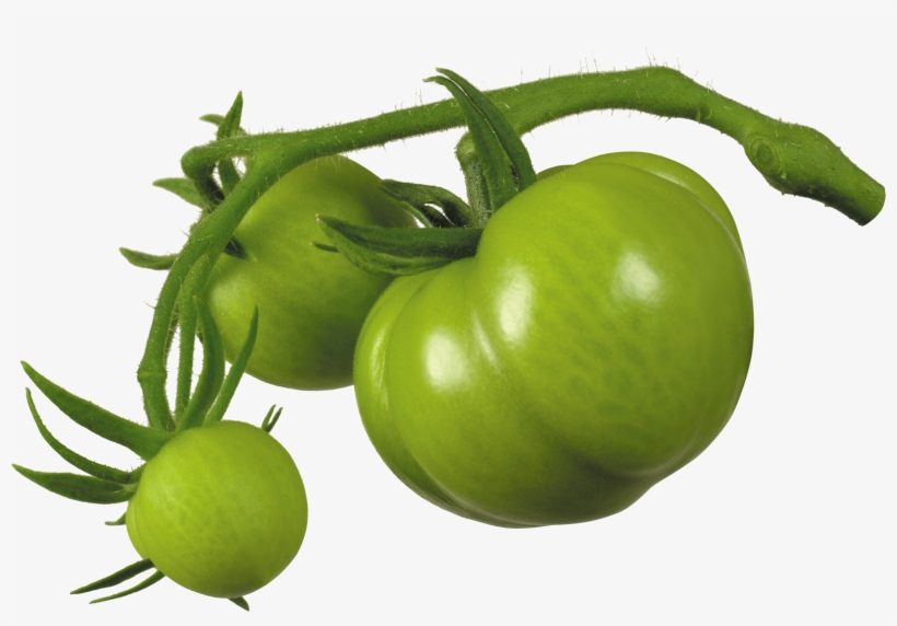 Green Tomato Png, transparent png
