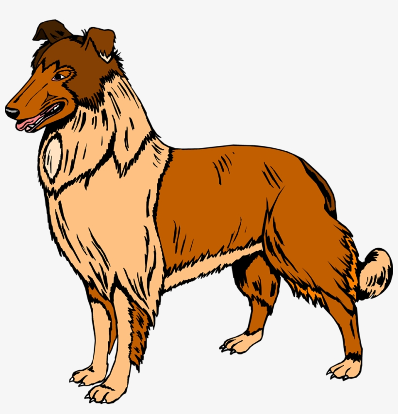 Collie Clipart Real Dog - Buff: A Collie And Other Dog Stories, transparent png