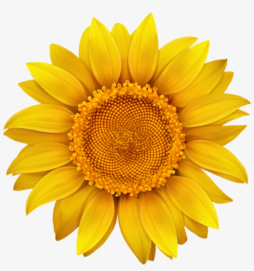 You Are Happy I Am Happy, transparent png