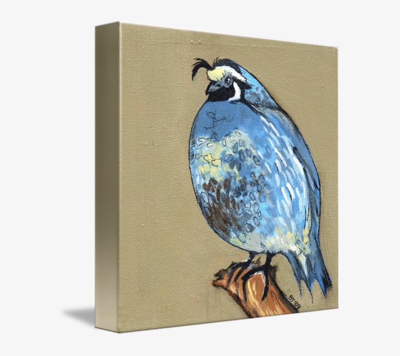 Q Is For Quail By Beth Thomas Vector Freeuse Stock - Drawing, transparent png