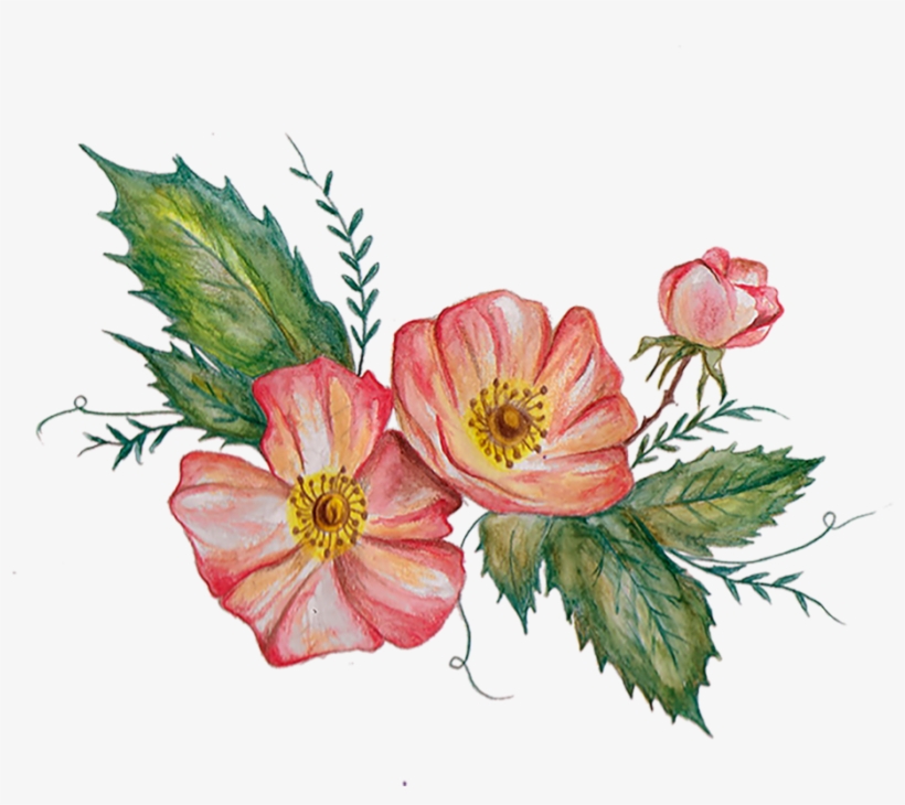 The Hand-drawn Flower And Vine Elements Of This Design, transparent png