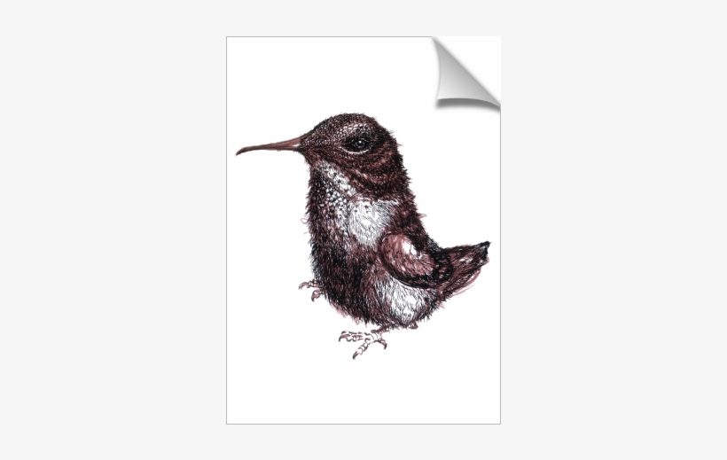 Weirdo Bird - Wren, transparent png