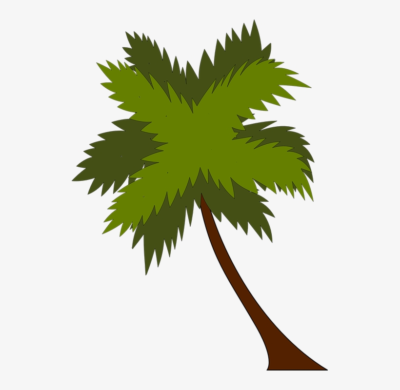 Palm - Coconut Tree Png Vector, transparent png