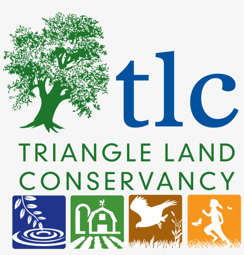 Clip Art, transparent png