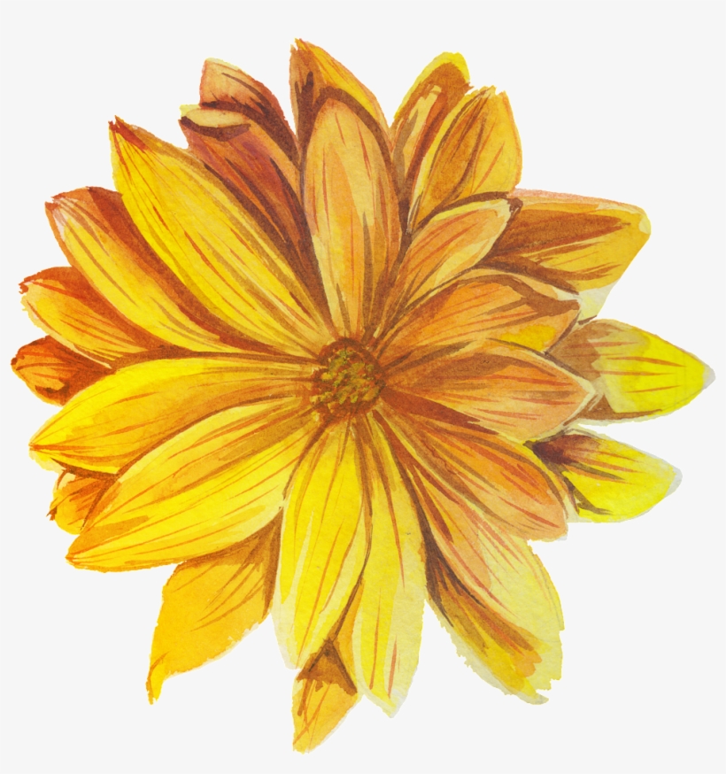 Bom Dia Com Flores, transparent png