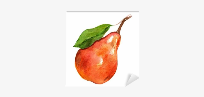 Watercolor Birne, transparent png