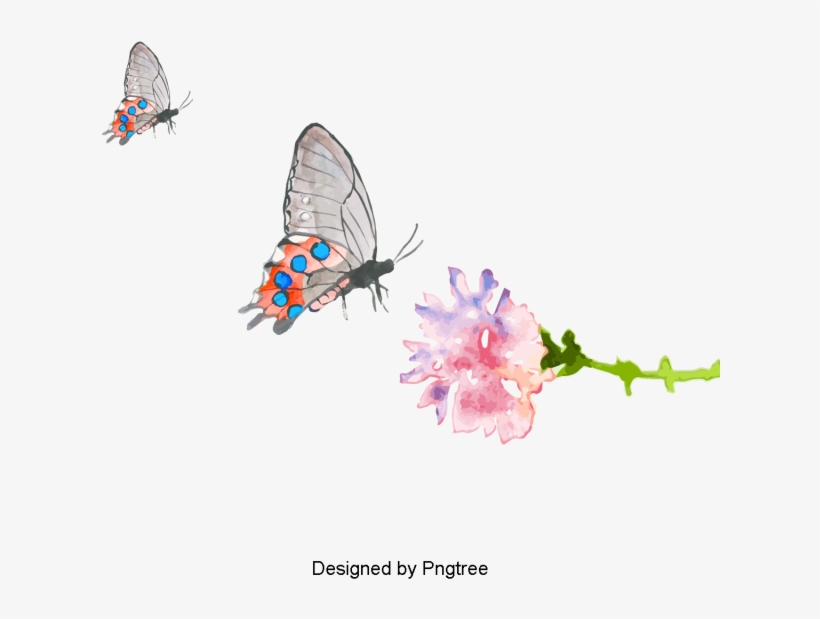 Cartoon Hand-painted Butterfly Pattern Design, Cartoons, - Cartoon, transparent png