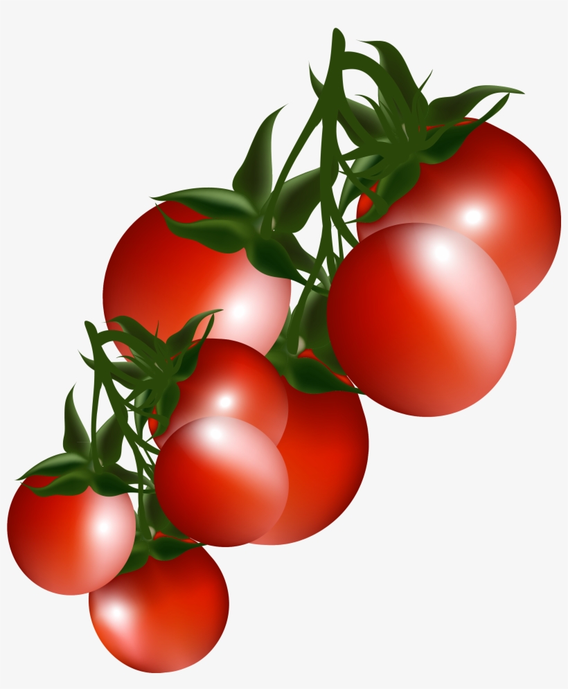 Clip Art Freeuse Download File Frames Illustrations - Tomatoes Clip Art Free, transparent png